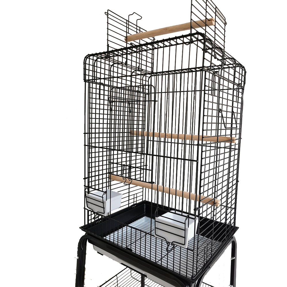 Parrot Breeder Services