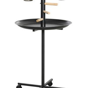 Parrot Breeder Services