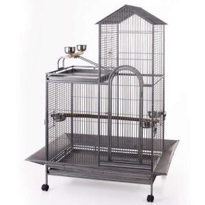 Parrot Breeder Services