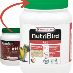 Parrot Breeder Services