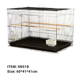 Parrot Breeder Services