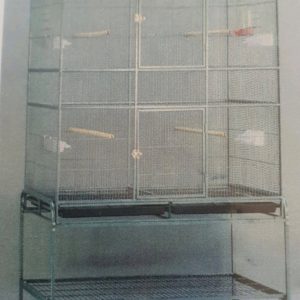 Parrot Breeder Services