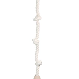 Parrot Breeder Services