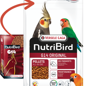 Parrot Breeder Services