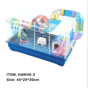 Parrot Breeder Services