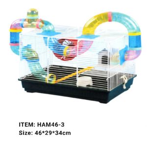 Parrot Breeder Services