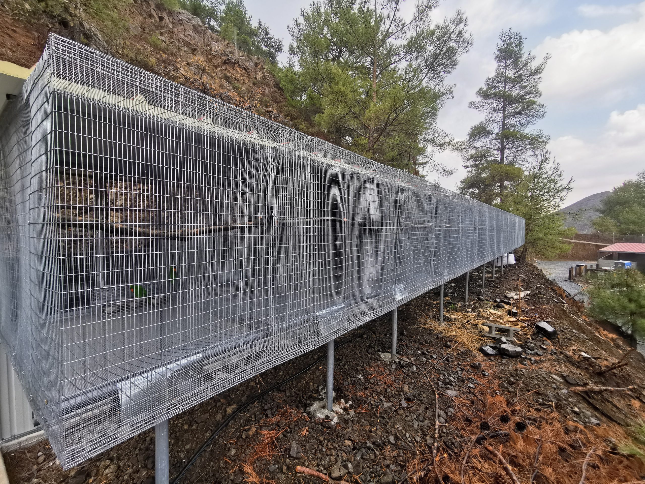 Parrot Breeder Services