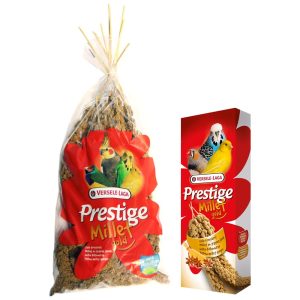 Parrot Breeder Services