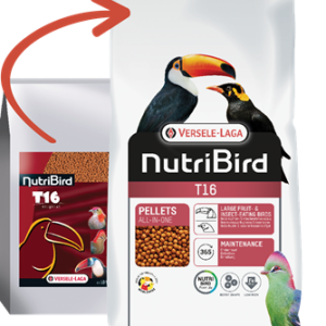 Parrot Breeder Services