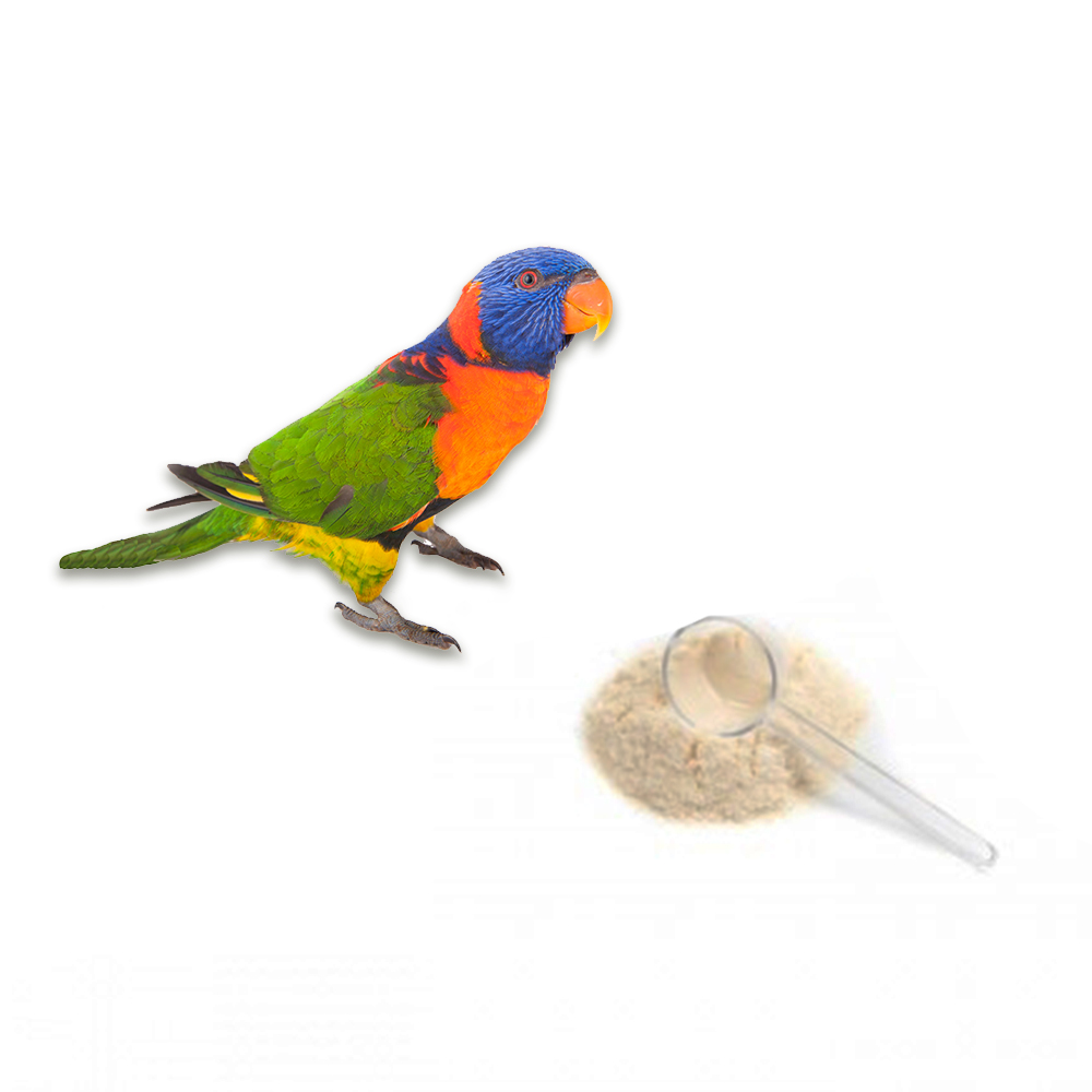 Parrot Breeder Services