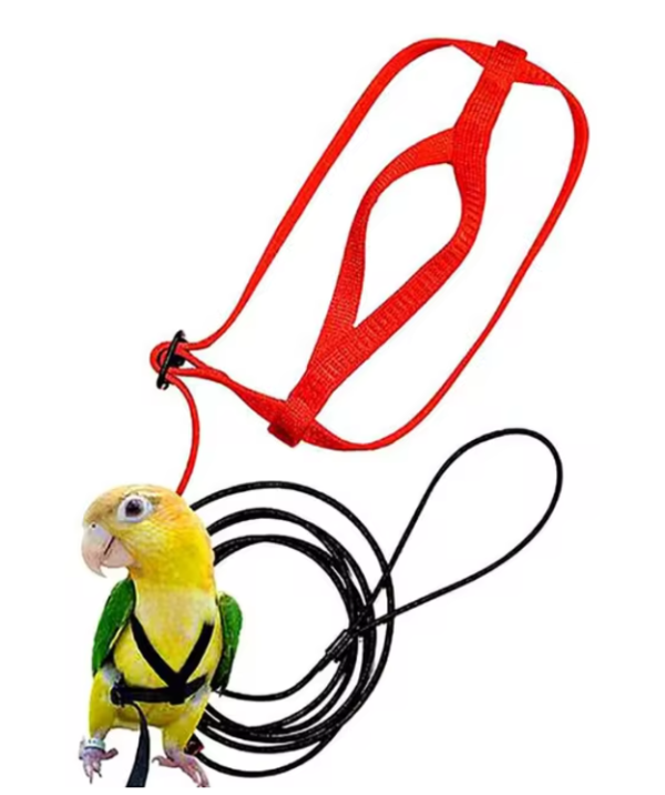 VPN-0045 - Harness LARGE -Parrots & Parakeets - Image 2